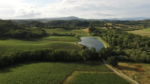 Iron Horse Vineyards View from the air