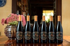 2023 Pinot Noir Collection 1